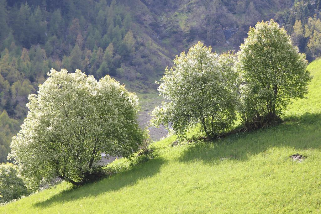 Apart Gletscherblick Kaunertal Eksteriør billede