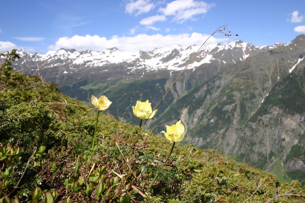 Apart Gletscherblick Kaunertal Eksteriør billede