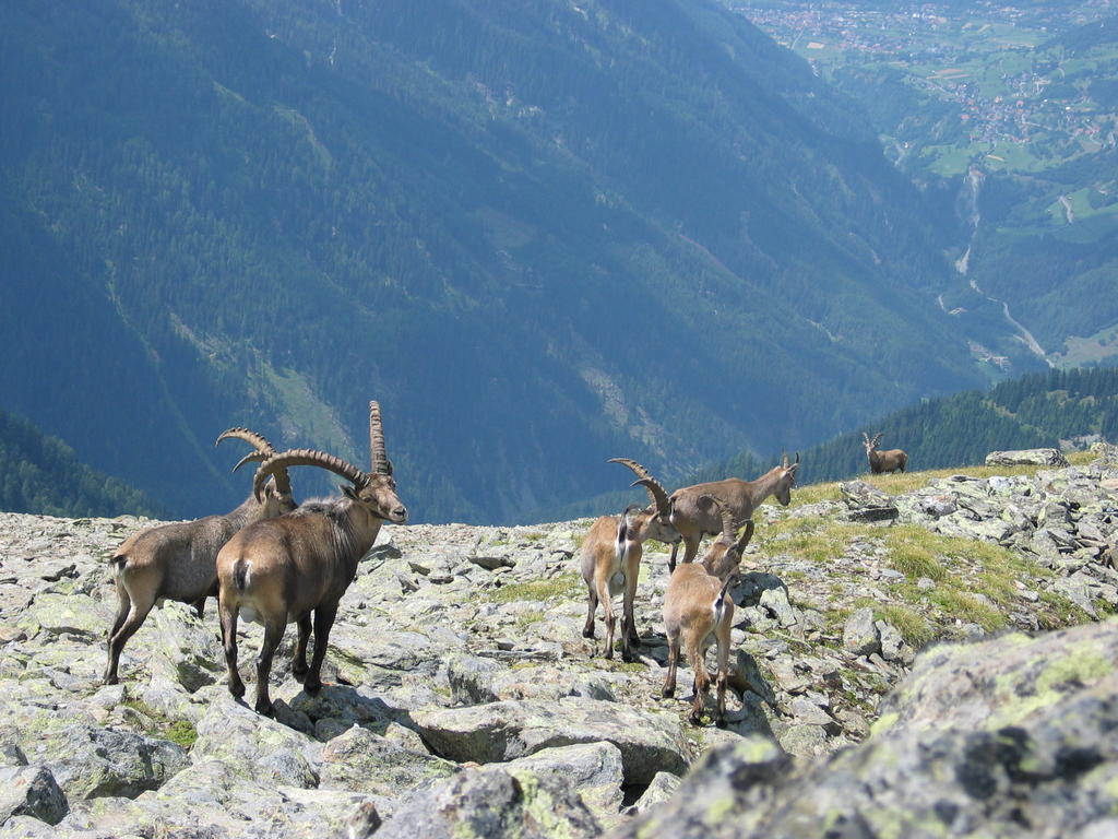 Apart Gletscherblick Kaunertal Eksteriør billede